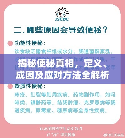 揭秘便秘真相，定义、成因及应对方法全解析