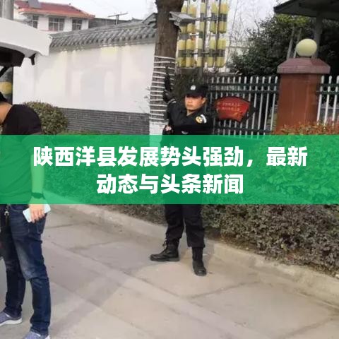 陕西洋县发展势头强劲，最新动态与头条新闻