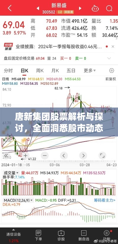 唐新集团股票解析与探讨，全面洞悉股市动态
