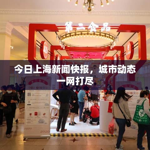 今日上海新闻快报，城市动态一网打尽