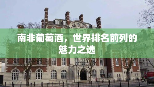 南非葡萄酒，世界排名前列的魅力之选