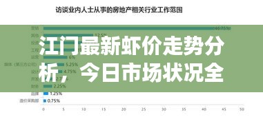 江门最新虾价走势分析，今日市场状况全面解读
