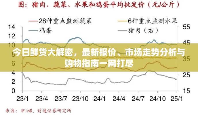 今日鲜货大解密，最新报价、市场走势分析与购物指南一网打尽