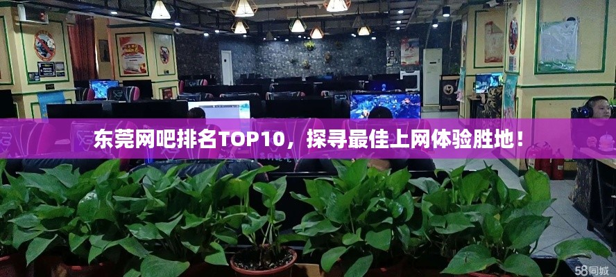 东莞网吧排名TOP10，探寻最佳上网体验胜地！