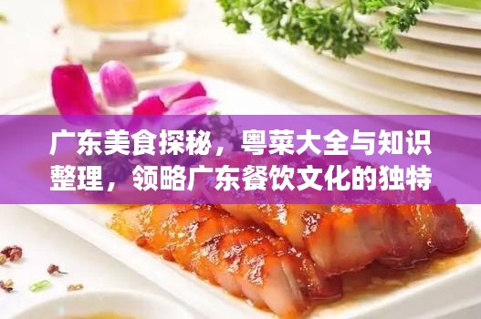 广东美食探秘，粤菜大全与知识整理，领略广东餐饮文化的独特魅力
