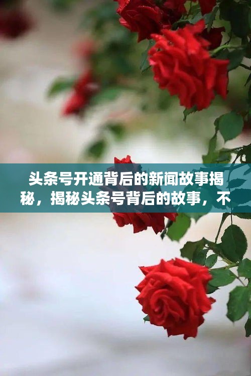 头条号开通背后的新闻故事揭秘，揭秘头条号背后的故事，不容错过！