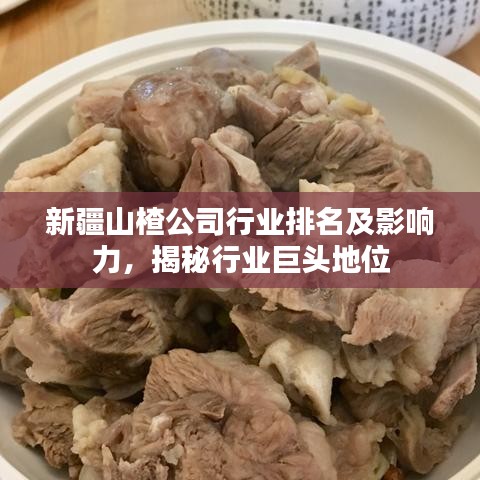 新疆山楂公司行业排名及影响力，揭秘行业巨头地位