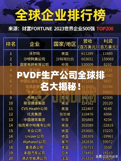 PVDF生产公司全球排名大揭秘！