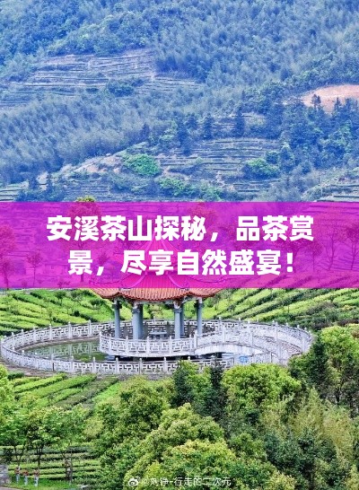 安溪茶山探秘，品茶赏景，尽享自然盛宴！