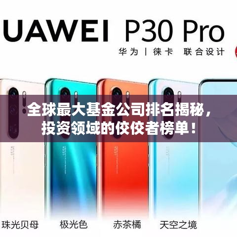 全球最大基金公司排名揭秘，投资领域的佼佼者榜单！