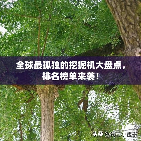 全球最孤独的挖掘机大盘点，排名榜单来袭！