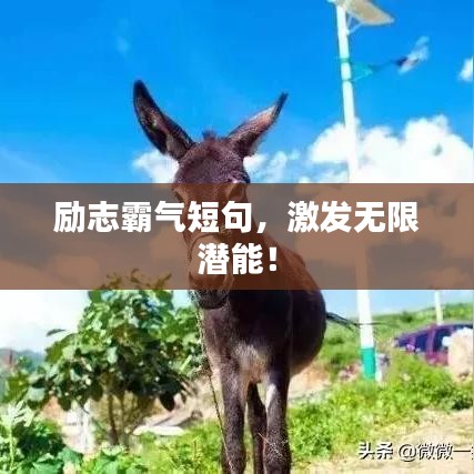 励志霸气短句，激发无限潜能！