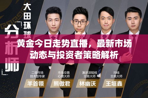 黄金今日走势直播，最新市场动态与投资者策略解析