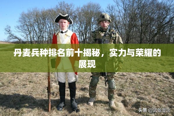 丹麦兵种排名前十揭秘，实力与荣耀的展现