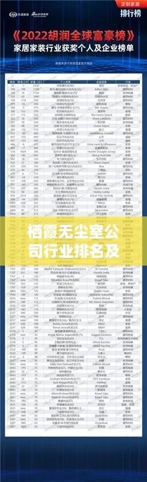 栖霞无尘室公司行业排名及影响力深度解析，揭秘领军者的崛起之路