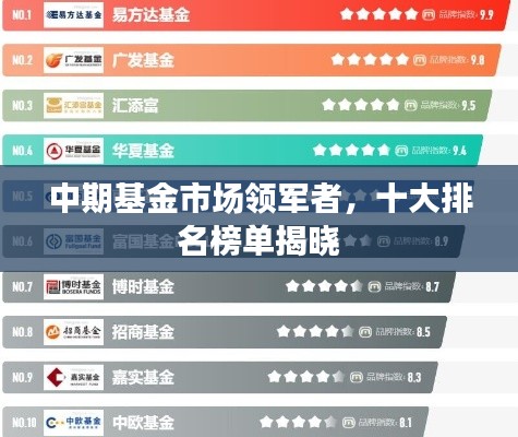 中期基金市场领军者，十大排名榜单揭晓