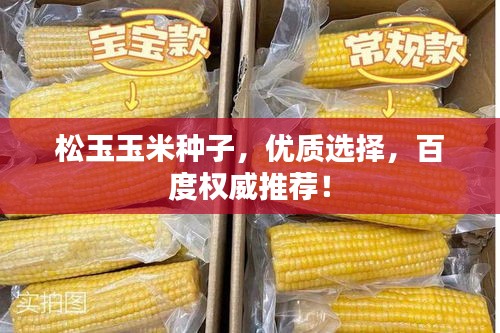松玉玉米种子，优质选择，百度权威推荐！