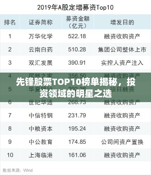 先锋股票TOP10榜单揭秘，投资领域的明星之选
