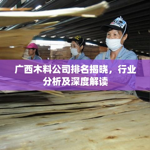 广西木料公司排名揭晓，行业分析及深度解读