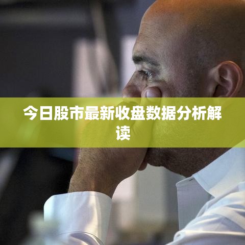 今日股市最新收盘数据分析解读