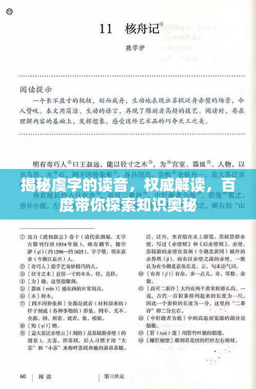 揭秘虞字的读音，权威解读，百度带你探索知识奥秘
