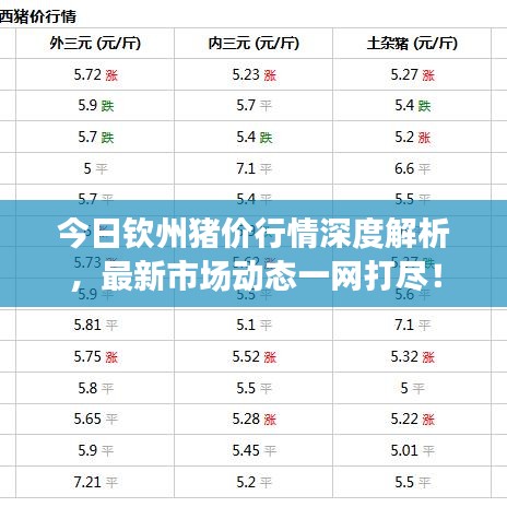 今日钦州猪价行情深度解析，最新市场动态一网打尽！