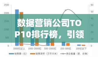 数据营销公司TOP10排行榜，引领行业发展的佼佼者企业