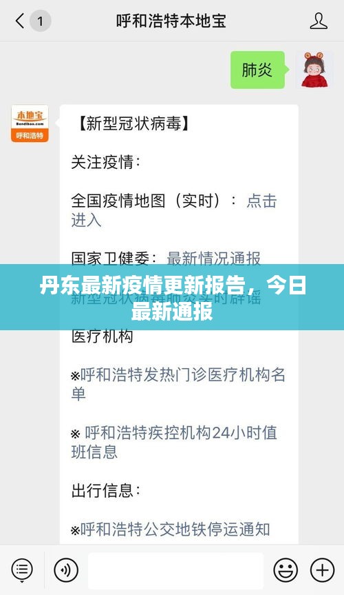 丹东最新疫情更新报告，今日最新通报