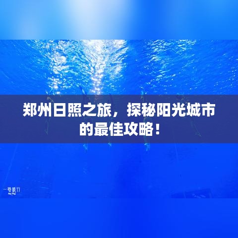 郑州日照之旅，探秘阳光城市的最佳攻略！