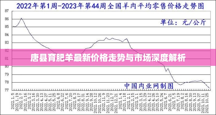 唐县育肥羊最新价格走势与市场深度解析