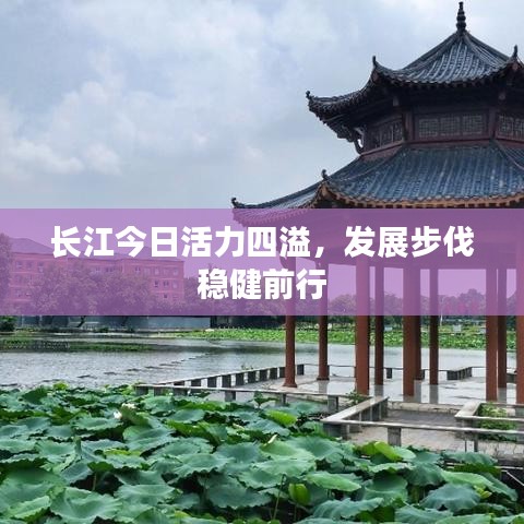 长江今日活力四溢，发展步伐稳健前行