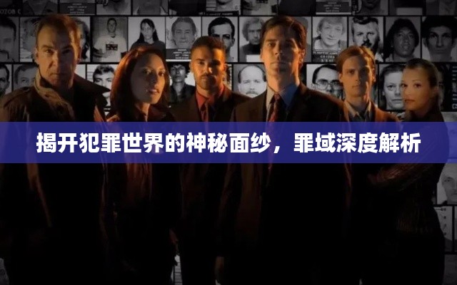 揭开犯罪世界的神秘面纱，罪域深度解析