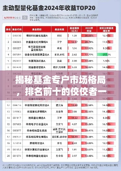 揭秘基金专户市场格局，排名前十的佼佼者一览表！