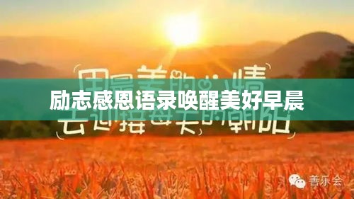 励志感恩语录唤醒美好早晨