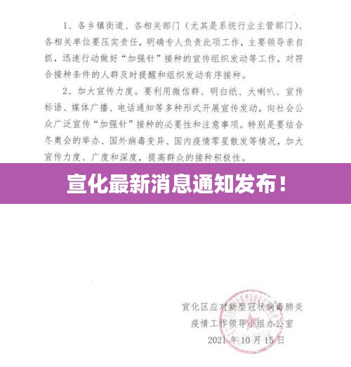 宣化最新消息通知发布！