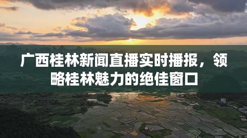 广西桂林新闻直播实时播报，领略桂林魅力的绝佳窗口