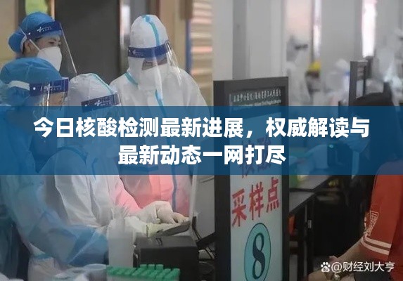 今日核酸检测最新进展，权威解读与最新动态一网打尽