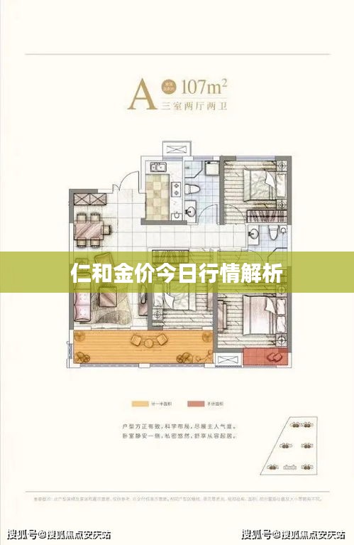仁和金价今日行情解析