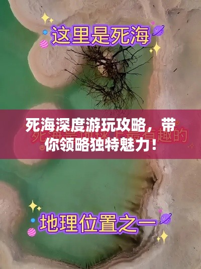 死海深度游玩攻略，带你领略独特魅力！