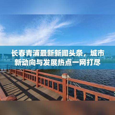 长春青浦最新新闻头条，城市新动向与发展热点一网打尽