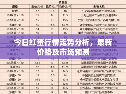 今日红蛋行情走势分析，最新价格及市场预测