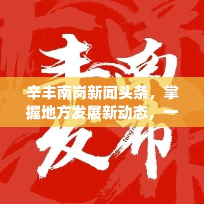 辛丰南岗新闻头条，掌握地方发展新动态，一手资讯尽在掌握