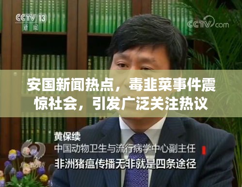 安国新闻热点，毒韭菜事件震惊社会，引发广泛关注热议