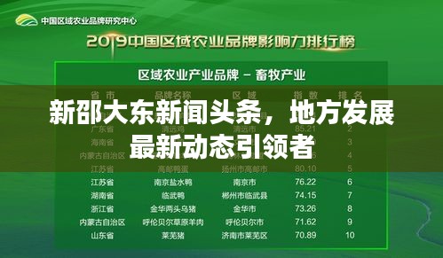 新邵大东新闻头条，地方发展最新动态引领者