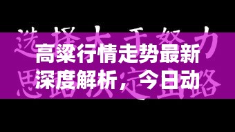 高粱行情走势最新深度解析，今日动态一目了然