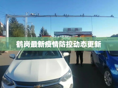 鹤岗最新疫情防控动态更新