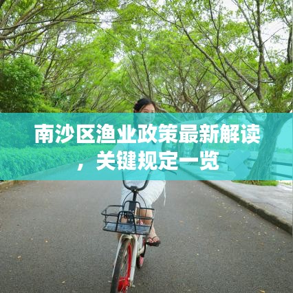 南沙区渔业政策最新解读，关键规定一览