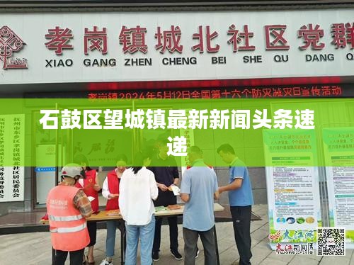 石鼓区望城镇最新新闻头条速递