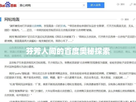 芬芳人间的百度奥秘探索