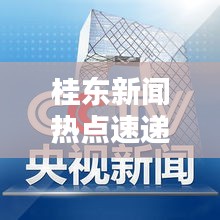 桂东新闻热点速递，今日最新头条聚焦